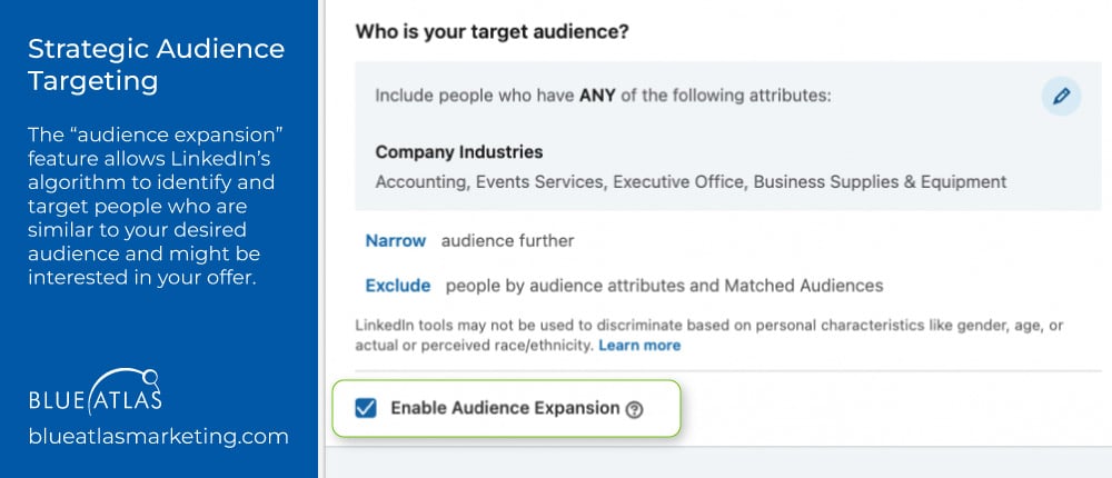 Strategic Audience Targeting Using LinkedIn Tools