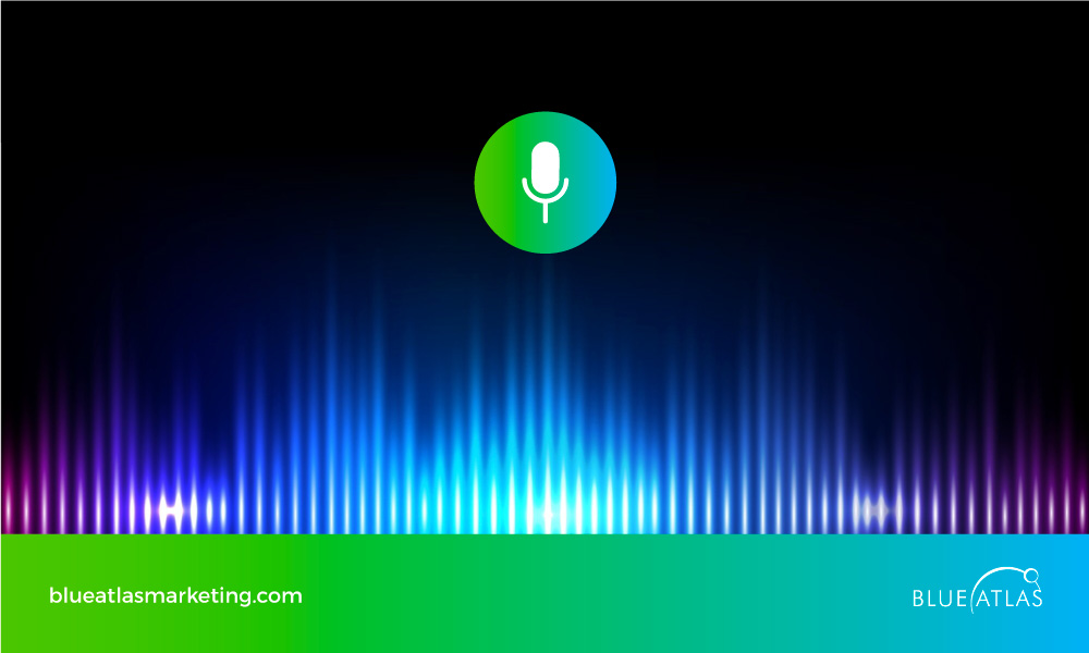 Voice User Interface (VUI)